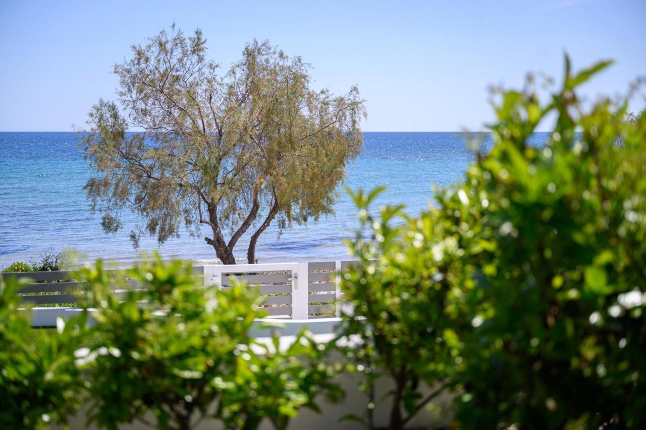 Cubes On The Beach Athens Airport アルテミダ エクステリア 写真